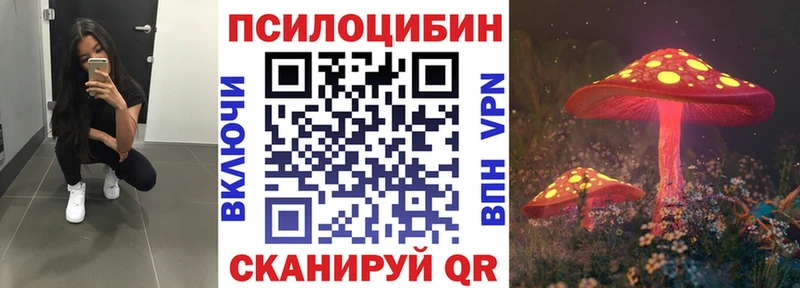 блэк спрут ТОР  Нелидово  Псилоцибиновые грибы ЛСД 